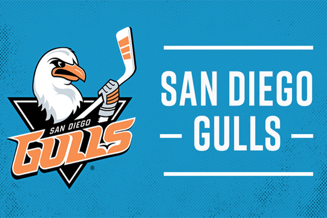 More Info for San Diego Gulls vs Henderson Silver Knights