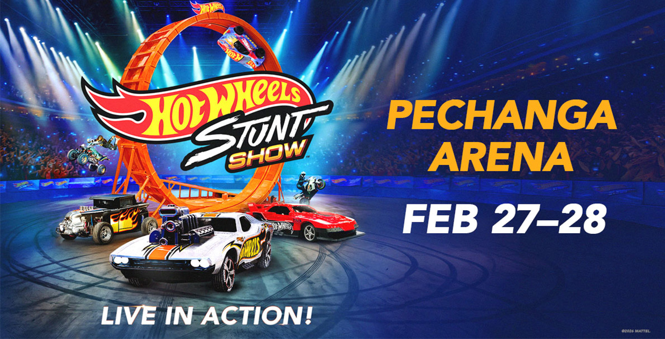 Hot Wheels Stunt Show